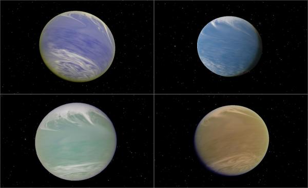 Neptunian worlds