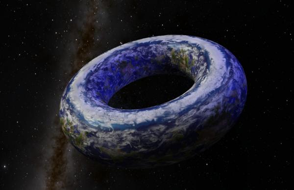 The Torus World