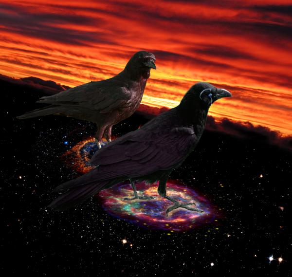 Huginn and Muninn