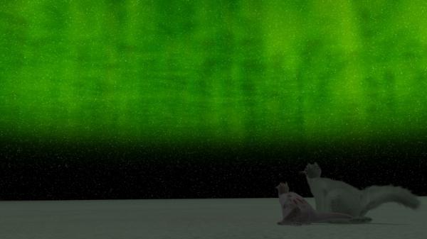 Watching the Aurora 3